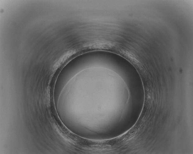 X0000063470678200601271630