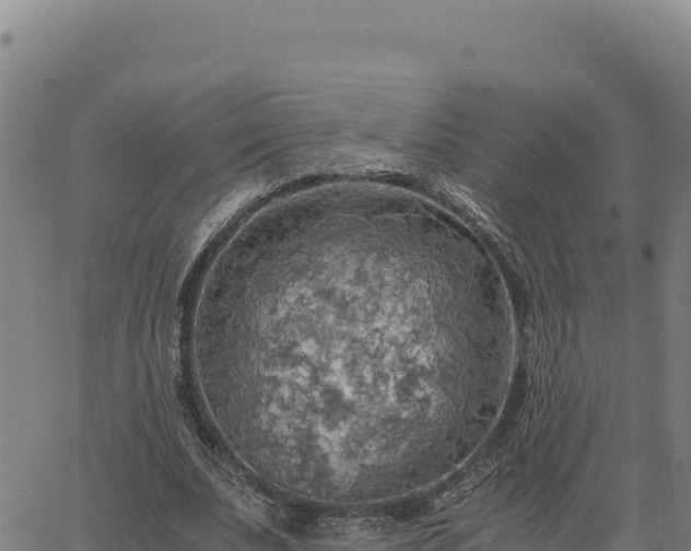 X0000063470679200601271630