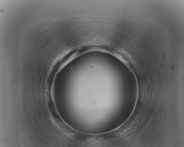 X0000063470680200601271630