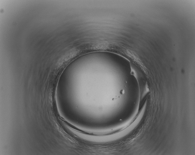 X0000063470681200601271630