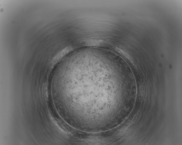 X0000063470682200601271630