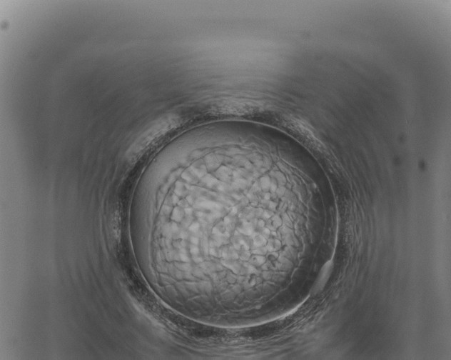 X0000063470683200601271630