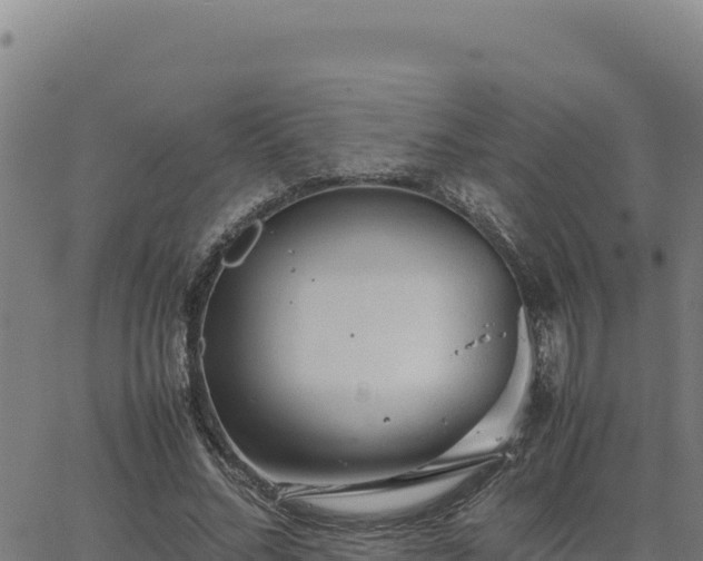 X0000063470684200601271630