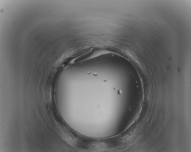 X0000063470685200601271630