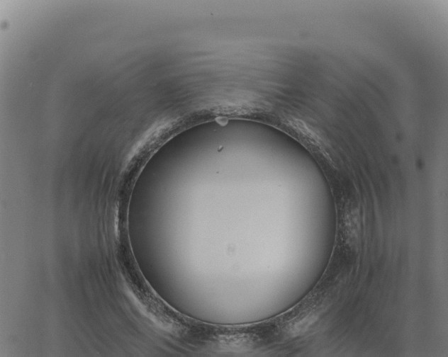 X0000063470686200601271630