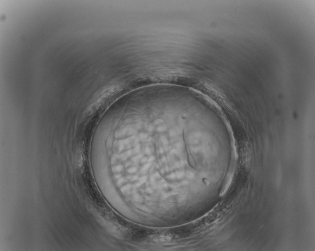 X0000063470687200601271630