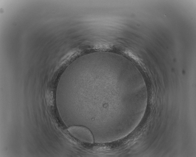 X0000063470689200601271630