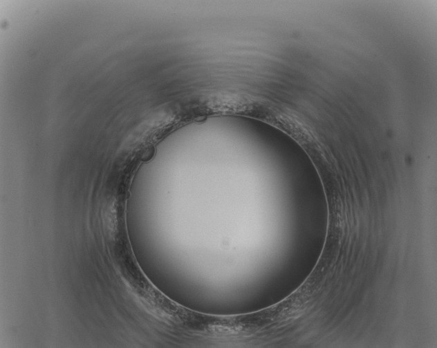 X0000063470690200601271630