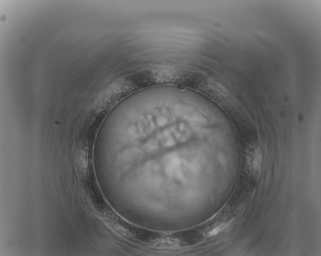 X0000063470691200601271630