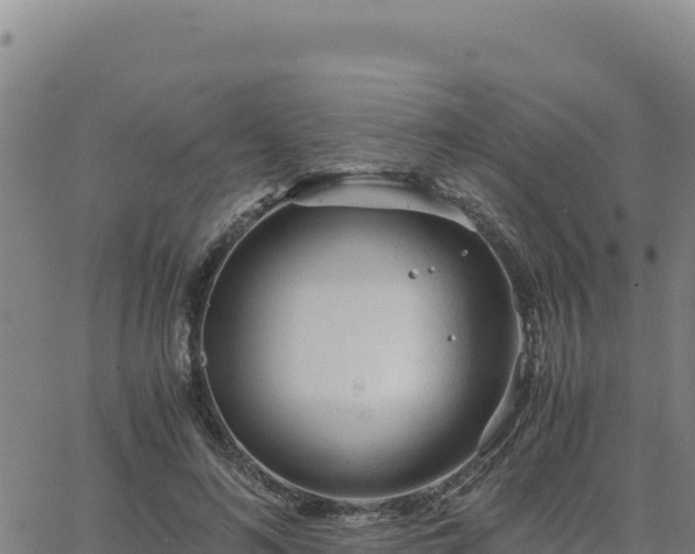 X0000063470692200601271630