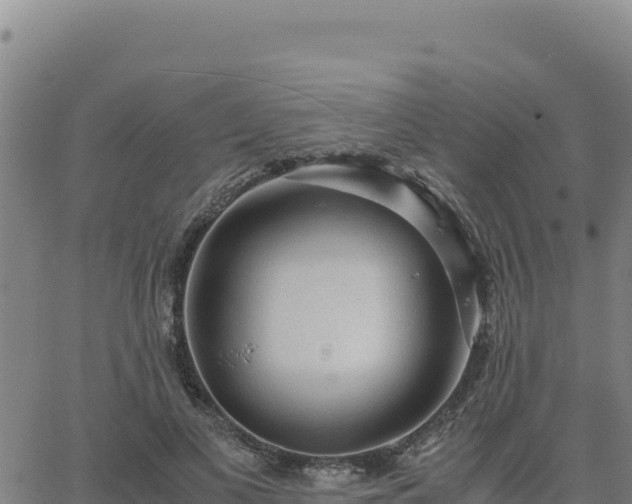 X0000063470693200601271630