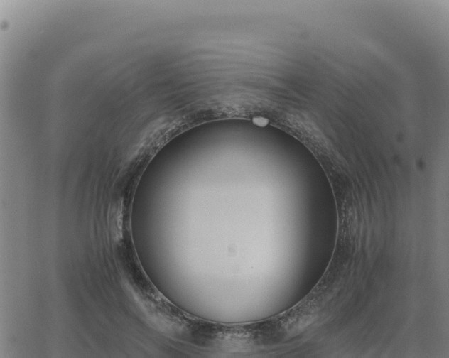 X0000063470694200601271630