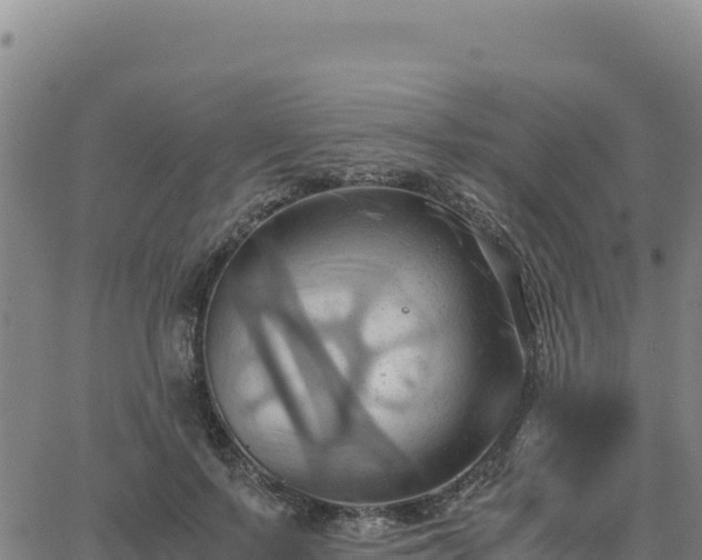 X0000063470695200601271630