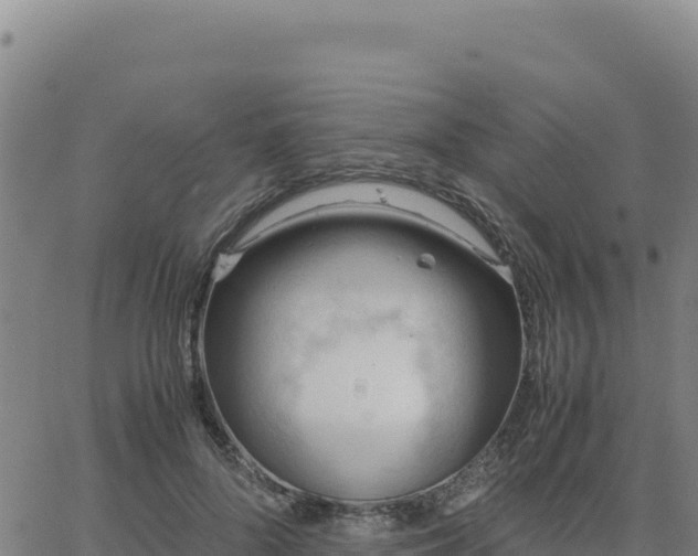 X0000063470696200601271630