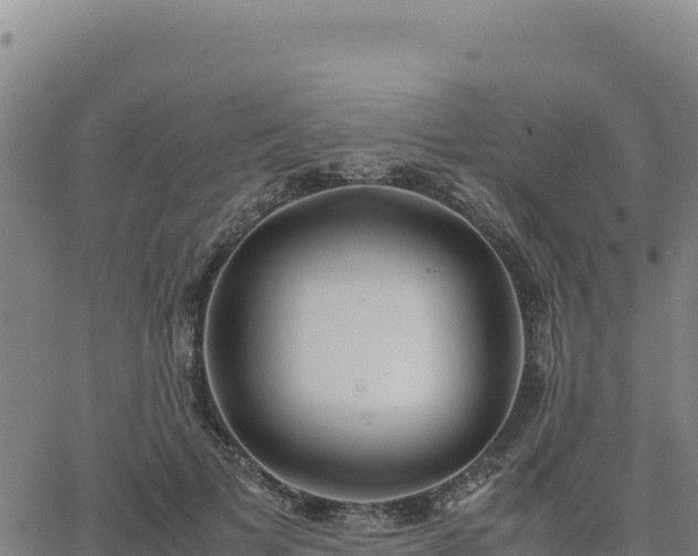 X0000063470697200601271630