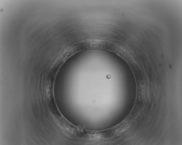 X0000063470698200601271630