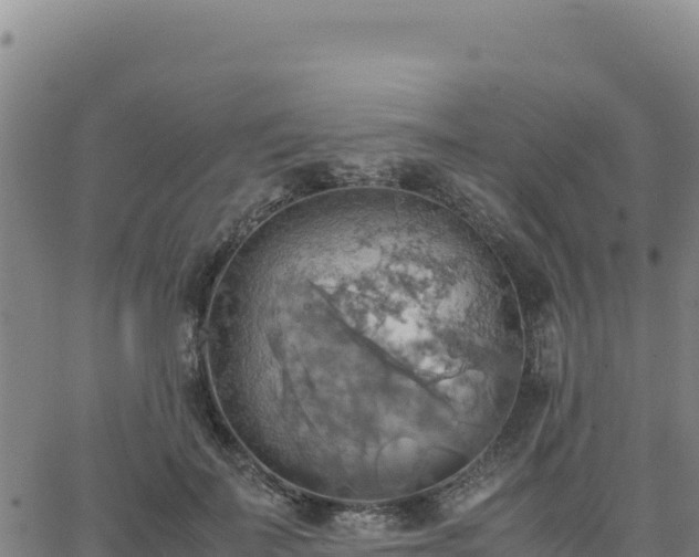 X0000063470699200601271630