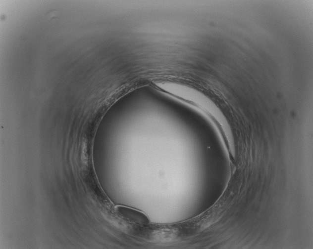 X0000063470700200601271630