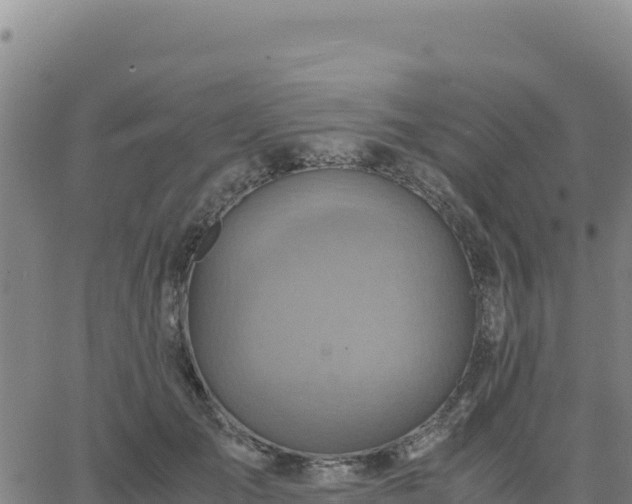 X0000063470701200601271630