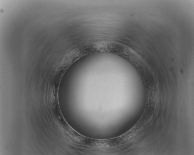 X0000063470702200601271630