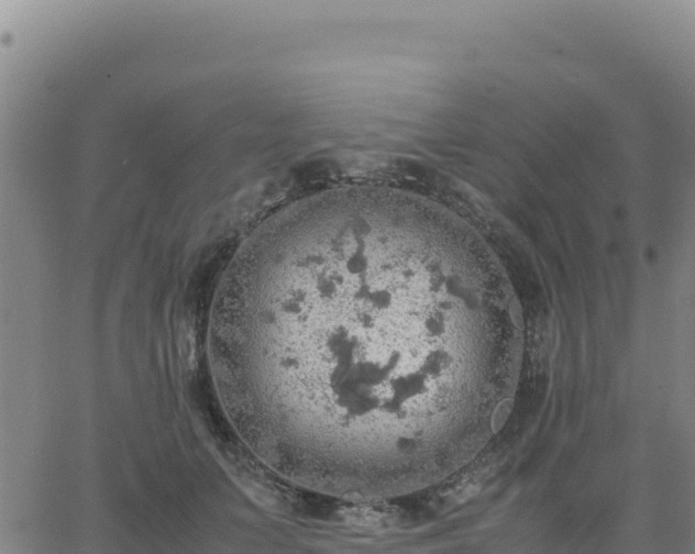 X0000063470703200601271630