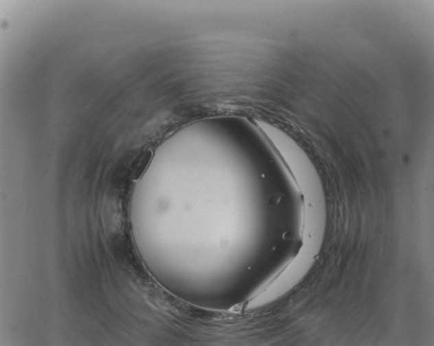 X0000063470704200601271630