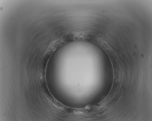 X0000063470706200601271630