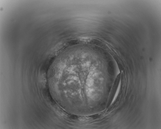 X0000063470707200601271630