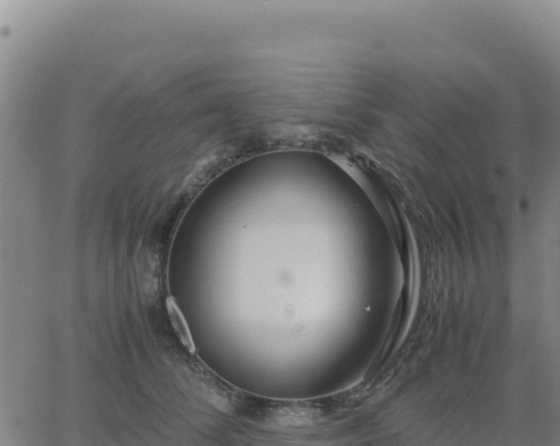 X0000063470708200601271630