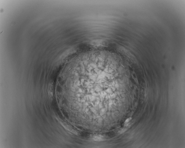 X0000063470710200601271630