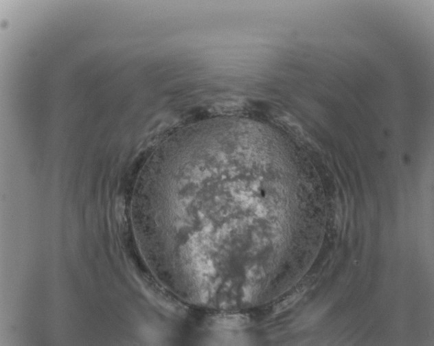 X0000063470711200601271630