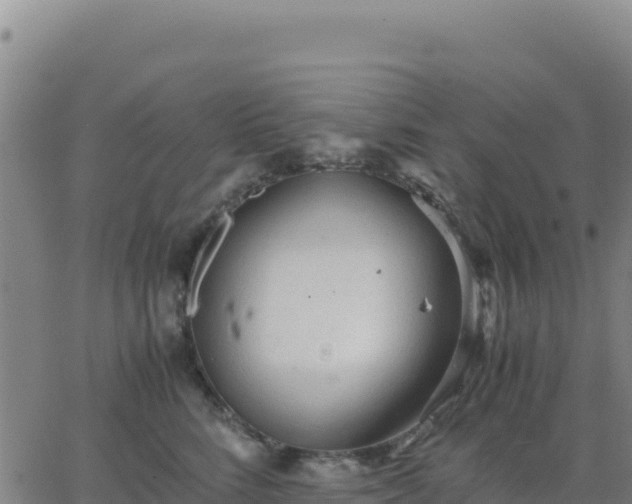 X0000063470712200601271629