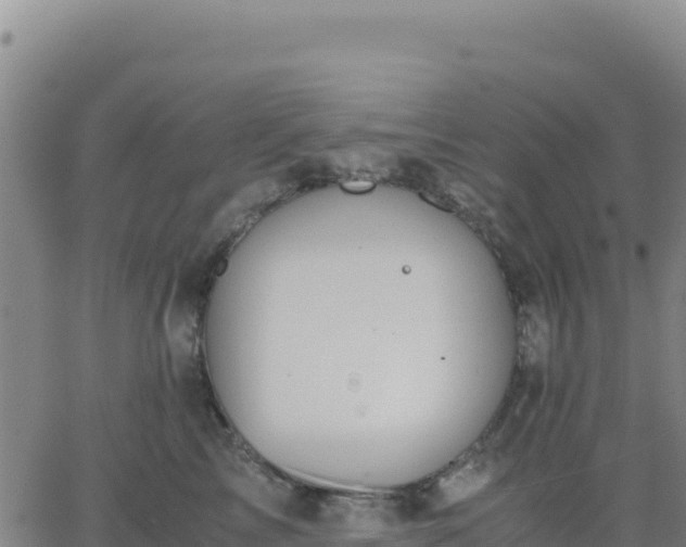 X0000063470713200601271629