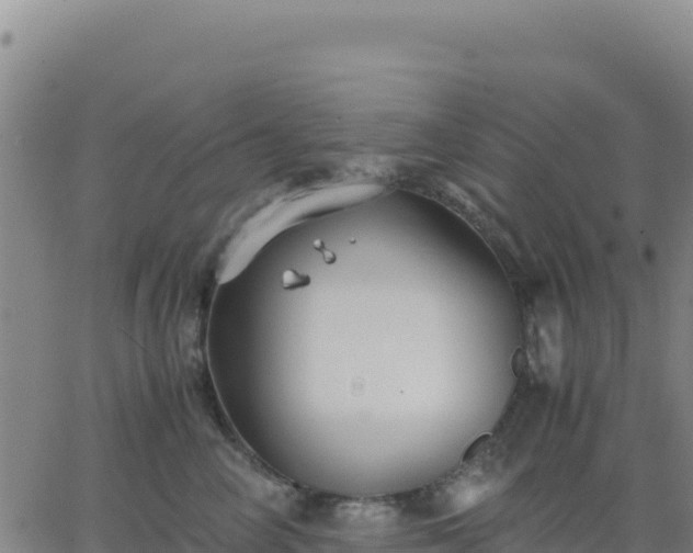 X0000063470714200601271629