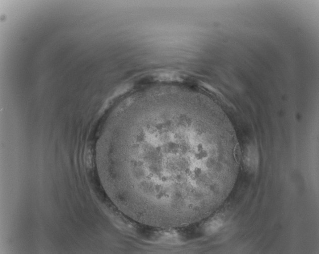 X0000063470715200601271629