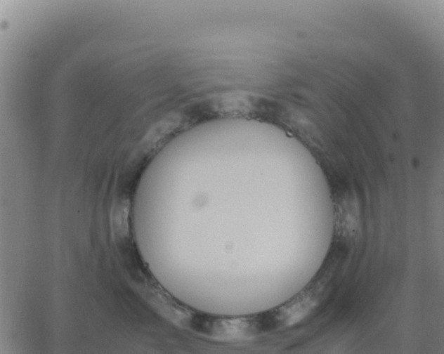 X0000063470717200601271629