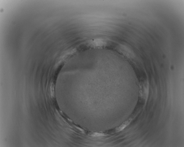 X0000063470718200601271629