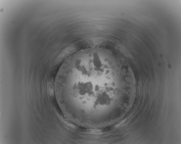 X0000063470719200601271629