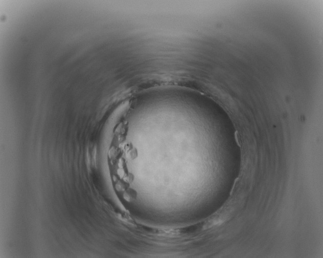 X0000063470720200601271629