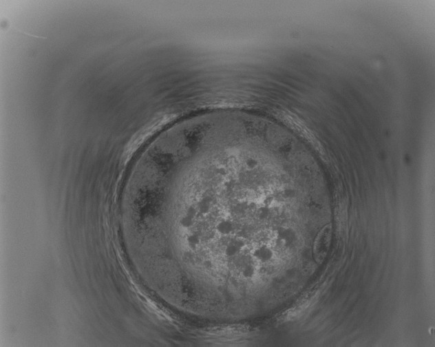 X0000063470721200601271629