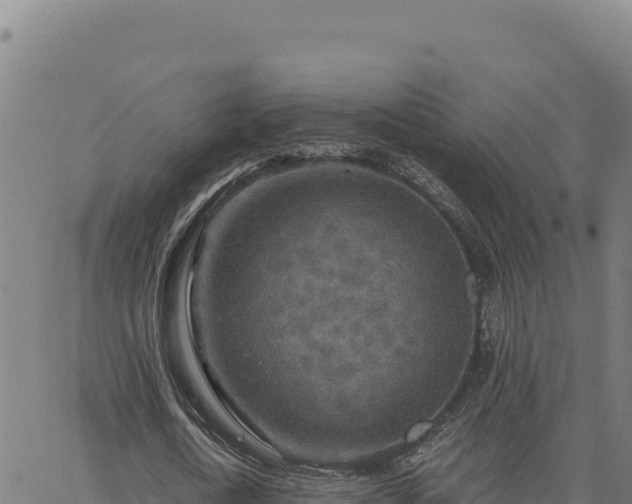 X0000063470722200601271629