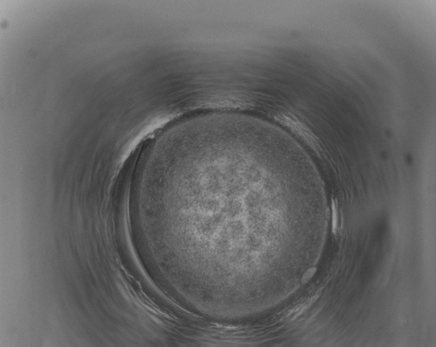 X0000063470723200601271629