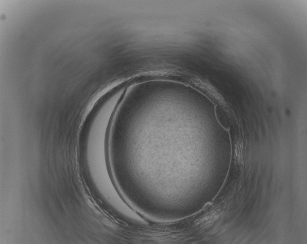 X0000063470724200601271629