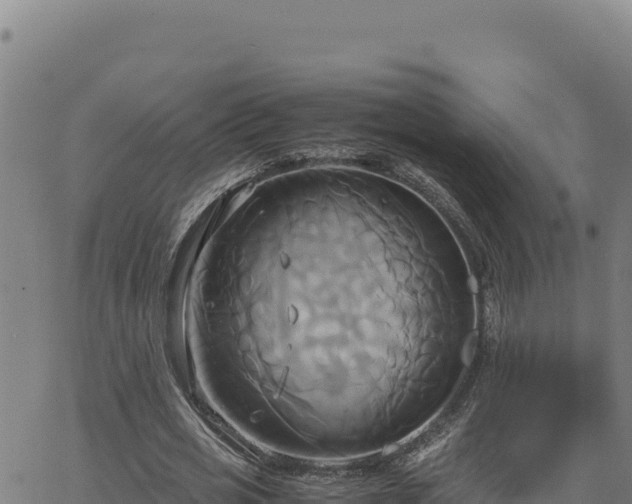 X0000063470725200601271629