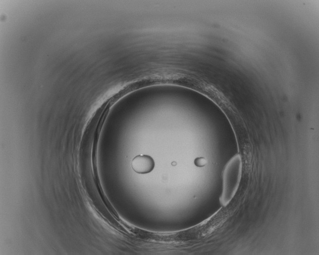 X0000063470726200601271629