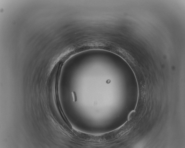 X0000063470727200601271629