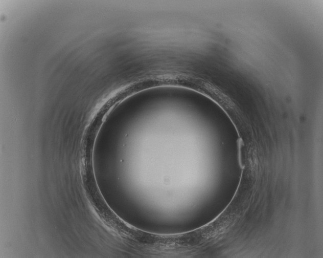 X0000063470728200601271629