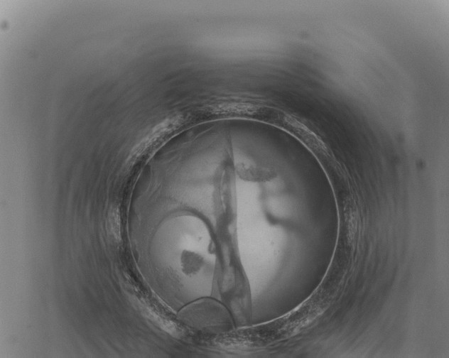 X0000063470729200601271629