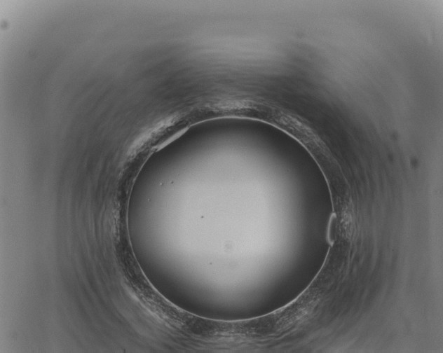 X0000063470732200601271629