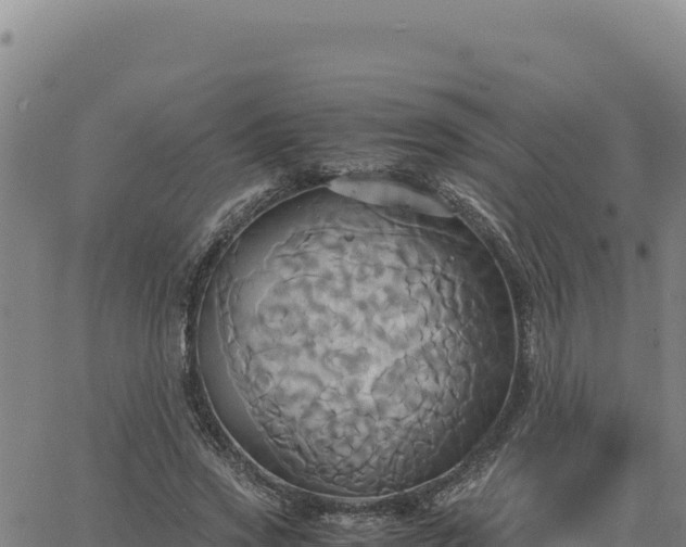 X0000063470733200601271629